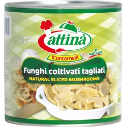 Attina' contornelli champignon latta gr 2650