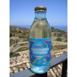 Gassosa mineralfriz cl 92